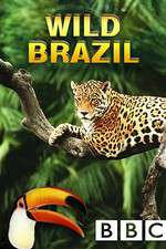 Watch Wild Brazil Zmovie
