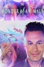 Watch The Wonder of Animals Zmovie