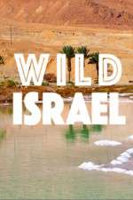 Watch Wild Israel Zmovie