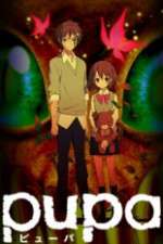 Watch Pupa Zmovie