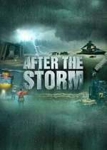 Watch After the Storm Zmovie