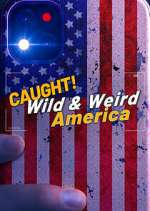 Watch Wild & Weird America Zmovie