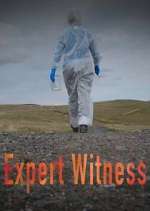 Watch Expert Witness Zmovie