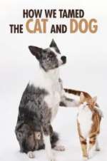 Watch How We Tamed the Cat and Dog Zmovie