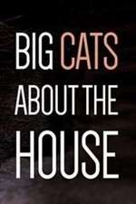 Watch Big Cats About the House Zmovie