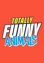 Watch Totally Funny Animals Zmovie