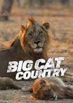 Watch Big Cat Country Zmovie