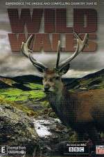 Watch Wild Wales Zmovie