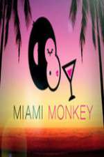 Watch Miami Monkey Zmovie