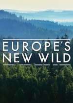 Watch Europe's New Wild Zmovie