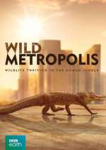 Watch Wild Metropolis Zmovie