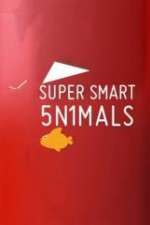 Watch Super Smart Animals Zmovie