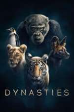 Watch Dynasties Zmovie