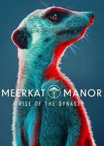 Watch Meerkat Manor: Rise of the Dynasty Zmovie