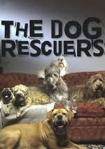 Watch The Dog Rescuers with Alan Davies Zmovie