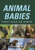 Watch Animal Babies: First Year on Earth Zmovie