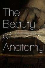 Watch The Beauty of Anatomy Zmovie