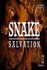 Watch Snake Salvation Zmovie