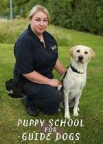 Watch Puppy School for Guide Dogs Zmovie