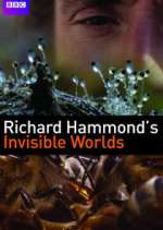 Watch Richard Hammond's Invisible Worlds Zmovie