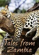 Watch Tales from Zambia Zmovie