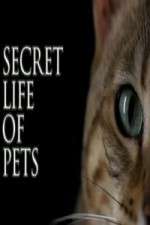 Watch The Secret Life of Pets Zmovie