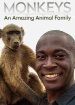 Watch Monkeys: An Amazing Animal Family Zmovie