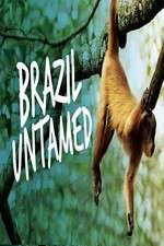 Watch Brazil Untamed Zmovie