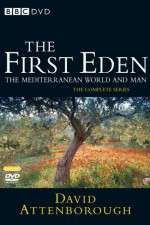 Watch The First Eden Zmovie