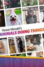 Watch Howie Mandel\'s Animals Doing Things Zmovie