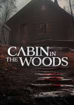 Watch Cabin in the Woods Zmovie