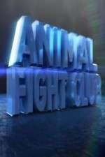 Watch Animal Fight Club  Zmovie