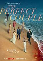 Watch The Perfect Couple Zmovie