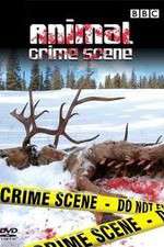 Watch Animal Crime Scene Zmovie