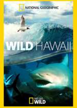 Watch Wild Hawaii Zmovie