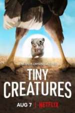 Watch Tiny Creatures Zmovie