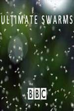 Watch Ultimate Swarms Zmovie