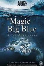Watch The Magic of the Big Blue Zmovie