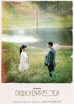 Watch Met You By Chance Zmovie