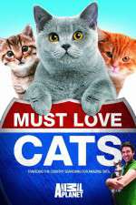 Watch Must Love Cats Zmovie