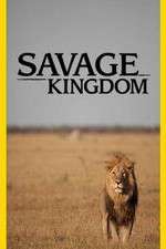Watch Savage Kingdom Zmovie