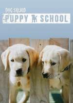 Watch Dog Squad: Puppy School Zmovie