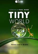 Watch Tiny World Zmovie