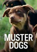Watch Muster Dogs Zmovie