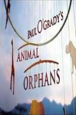 Watch Paul O'Grady's Animal Orphans Zmovie