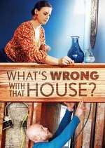 Watch What's Wrong With That House? Zmovie
