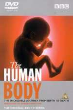 Watch The Human Body Zmovie