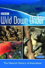 Watch Wild Down Under Zmovie