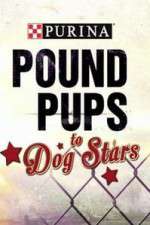 Watch Purina Pound Pups To Dog Stars Zmovie