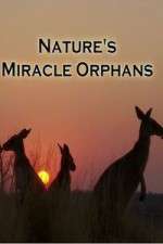 Watch Nature's Miracle Orphans Zmovie